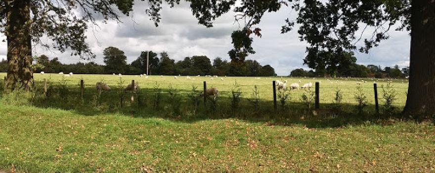 Chalgrave Manor Golf Club Limited