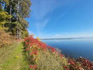 Winnie Campground
