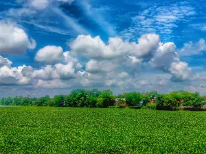 Mini Cox’s Bazar