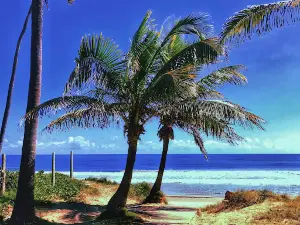Porto de Galinhas