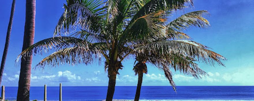 Porto de Galinhas