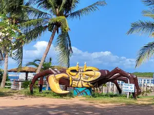 Praia Barra de Cunhau