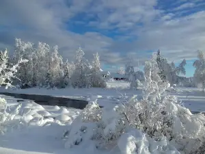 Karins Buskar & Träd