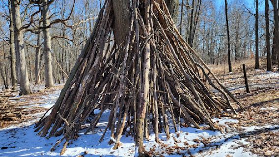 Asylum Lake Preserve