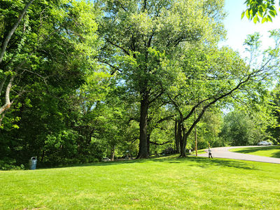 Audubon Park Trailheads