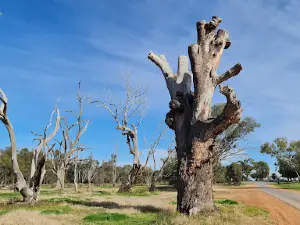Gum Bend Lake