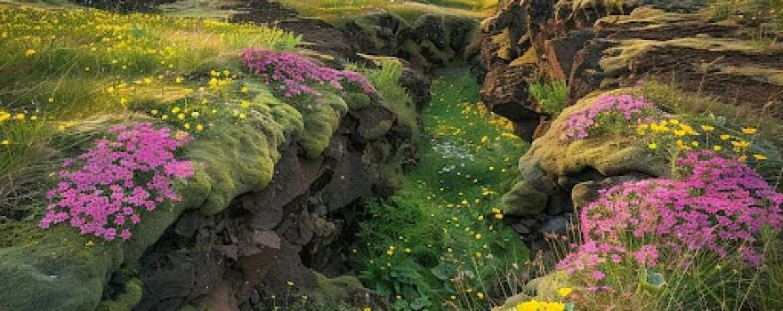 Reykjanes