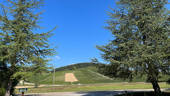 Parc de la Liberte