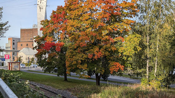 Onkilahti Park