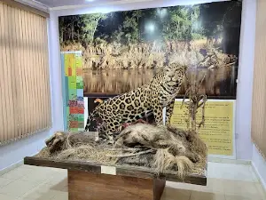 Museo De Ciencias Naturales