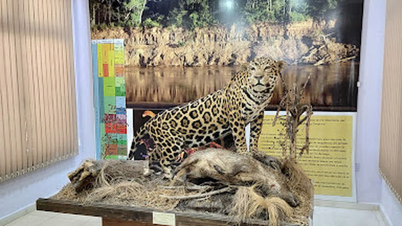 Museo De Ciencias Naturales