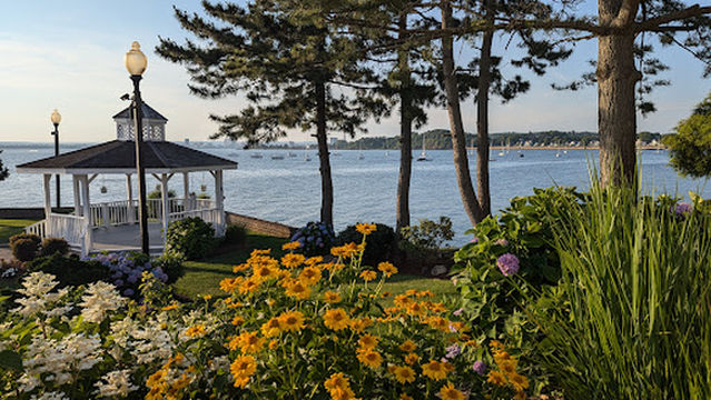 Amarante's Sea Cliff