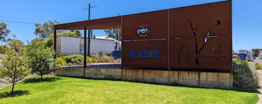 Bluebird Replica (Donald Campbell)