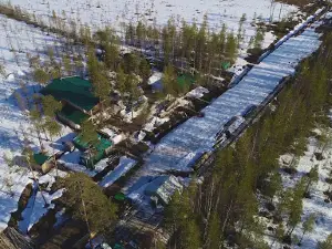 Yagodnyye Plantatsii "Arkhangel'skaya Klyukva" Na Bolote "Dikoye".