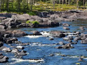 Hannflyströmmarna