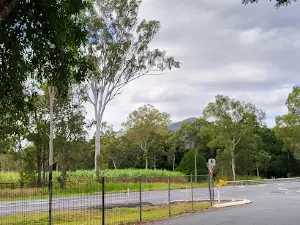 Palm Tree Creek Rest Area