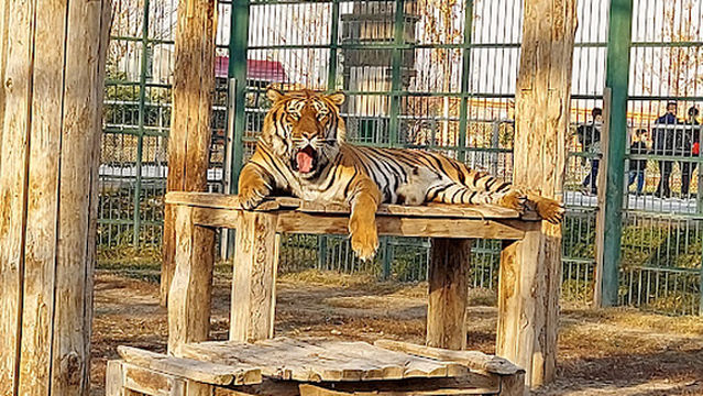 Anadolu Harikalar Diyarı