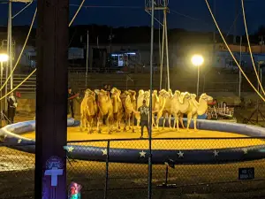 Dickson County Fairgrounds