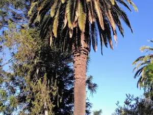 Plaza San Martín