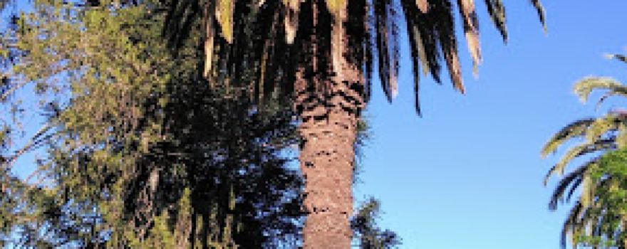 Plaza San Martín