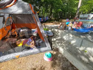 Piney Grove Campground