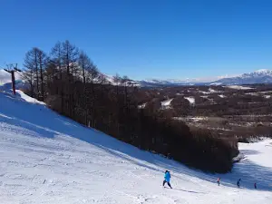 輕井澤滑雪公園