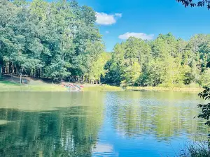 Kings Mountain Campground