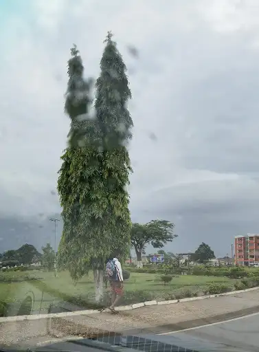 Parque