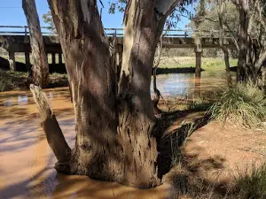 Mungallala rest area