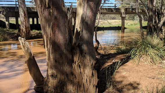 Mungallala rest area
