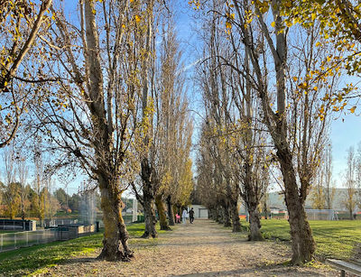 Benicia Community Park