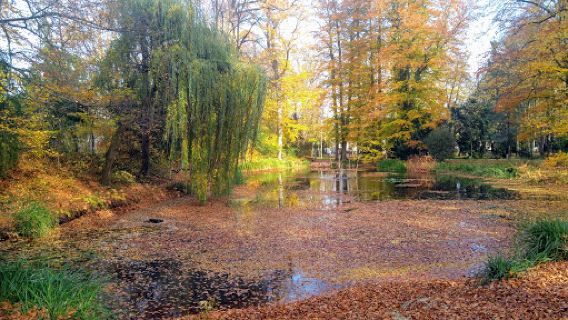 Schlosspark