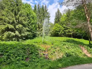 Geyser in Rajecká Lesná