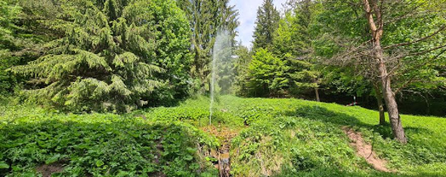 Geyser in Rajecká Lesná