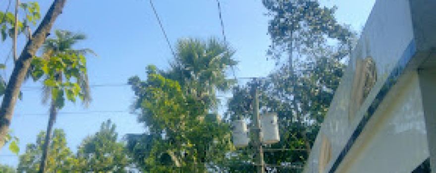 Haji Nasarullah Patwary Jame Masjid