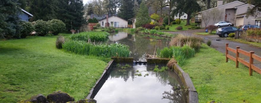 Risley Park
