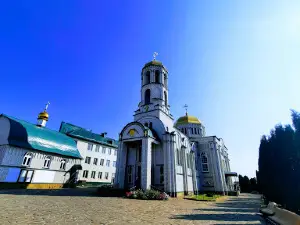 Tserkov' Novomuchenikov Voronezhskikh
