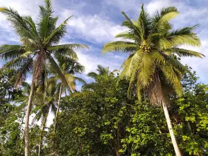 Pantai Galau