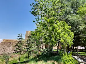 Child park