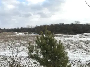 Стадион "Юность"