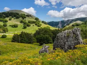 Ente Parco delle Madonie