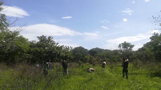Ecologico Park
