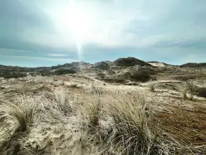 Plage Bray Dunes