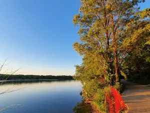 Roth Park
