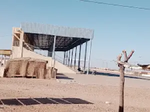 Tribune Agadez