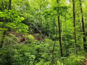 Yahoola Creek Park