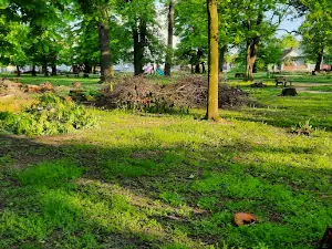 Mali park