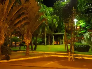 Flag Square