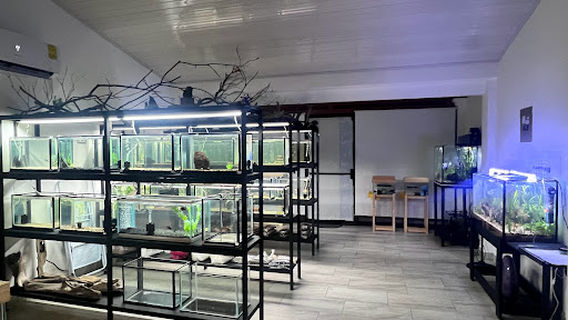 Acuario Agua de Luna