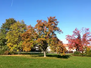 Vizslapark